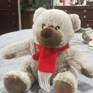 A stuffed bear animal